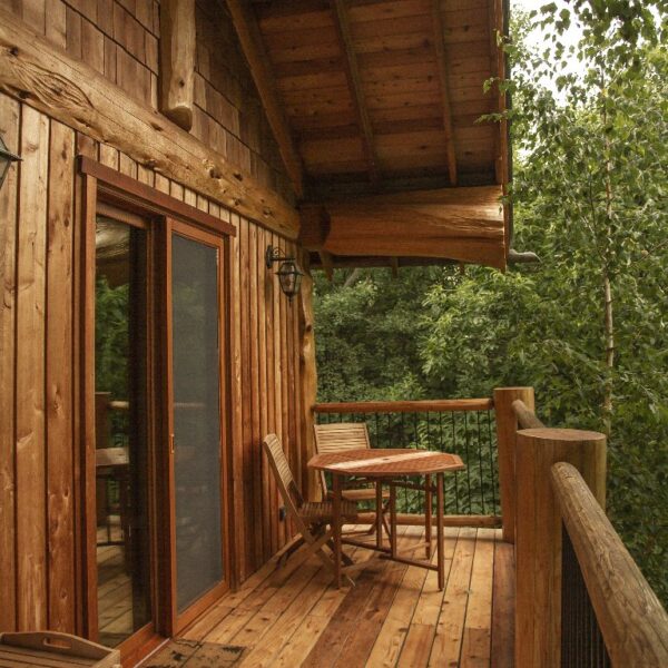 Casa sull'albero Casetta Betulla